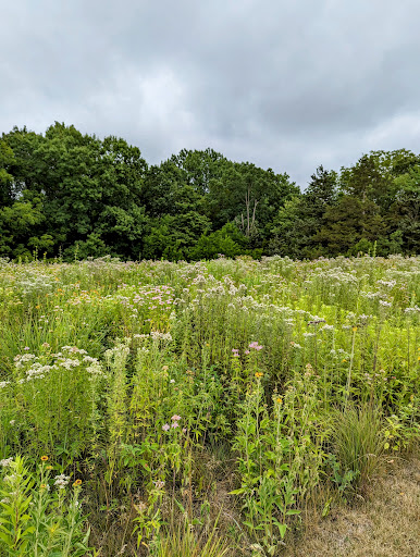Columbia Audubon Nature Sanctuary - Thumbnail