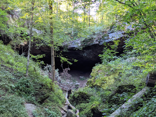 Salt Fork State Park