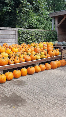 Beoordelingen van De Groene Schuur in Nijmegen - Fruit- en groentewinkel
