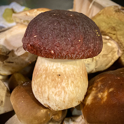 Photo n°22 de Hazia à Anglet (Bar à vin)