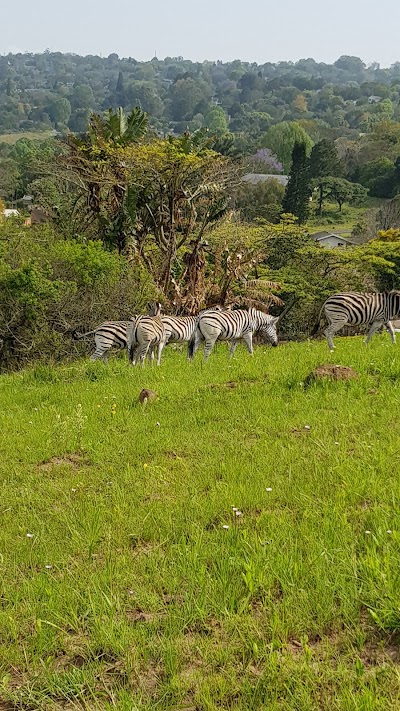 Photos of Krantzkloof Nature Reserve