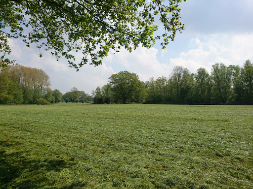 Het kleine broertje