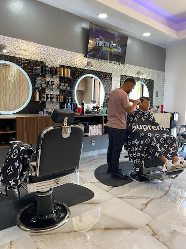 Barberia Platinum studio cuts and shaves - tattoo studio