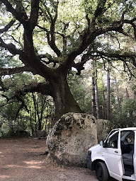 Photo n°19 de CORSE RANDO CANYON à Sari-Solenzara (Circuit de randonnée)