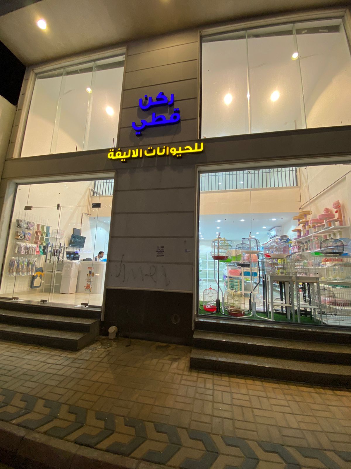 القط الخاص للحيوانات الاليفة. يوجد خدمة توصيل - صورة 2