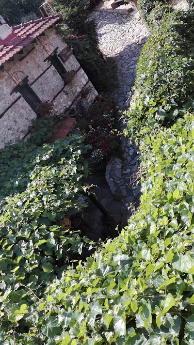Photos of "&Tau;&Omicron; &Pi;&Epsilon;&Tau;&Rho;&Iota;&Nu;&Omicron;"