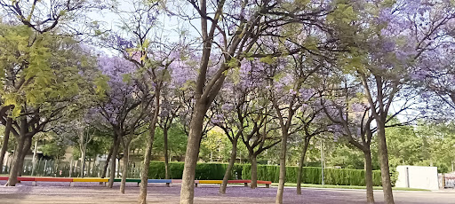 Sequieta Park - Visual
