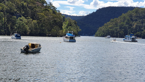 Berowra Waters Rd opp Warrina St - Thumbnail
