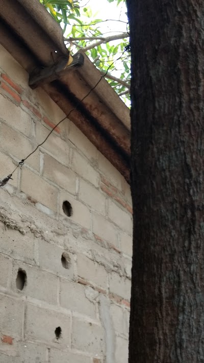 Photos of Finca de Ignacio O&ntilde;oro