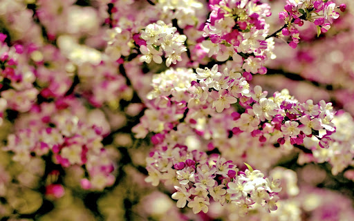 J Walker Flowers & Design