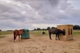 Photo n°4 de Ecurie du Librequi'D à Valence-en-Poitou (Pension pour chevaux)