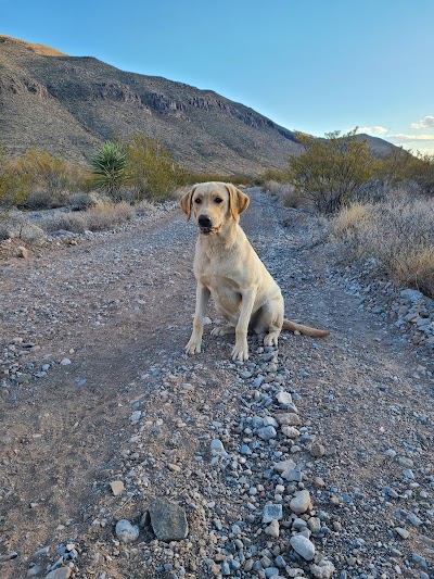 Alamogordo Animal Hospital