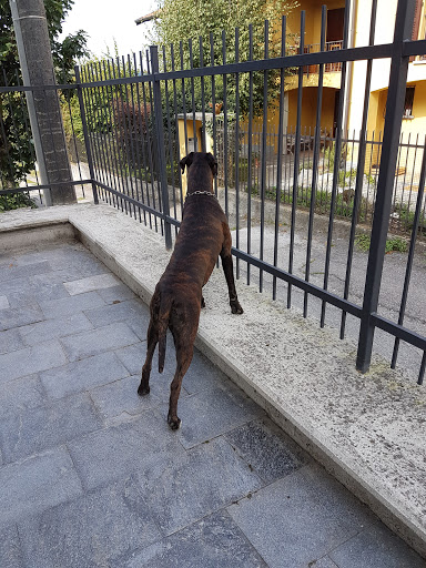 Ambulatorio Veterinario Dr. Sabrina Terni
