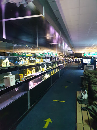 Lincs Aquatics - Thumbnail