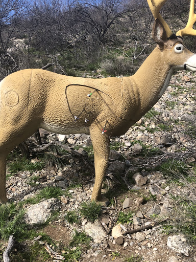 Liner 12 Archery - Thumbnail