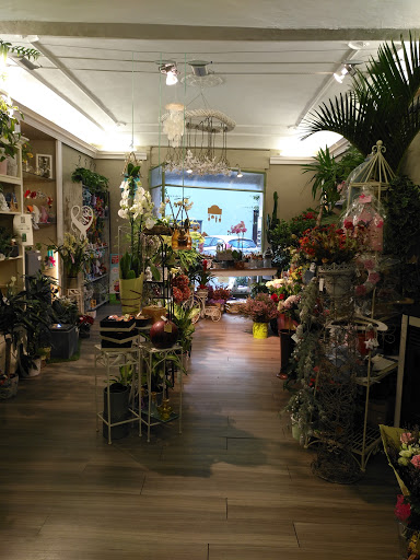 Il Giardino Di Pan Di Morelli Antonio Gallery - Italy