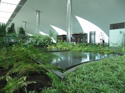 Photos of Airport Terminal 3
