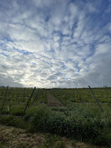 Clos de Nottereberg - Thumbnail