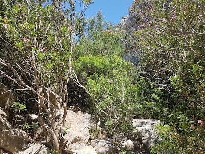Photos of Canuto De La Utrera