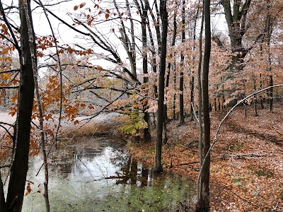 Macyville Woods Nature Preserve