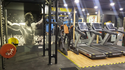 MUSCLE FACTORY GYM AND CROSSFIT