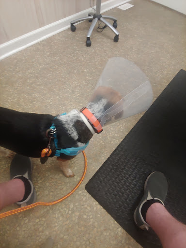 VCA Richland Animal Hospital - Thumbnail
