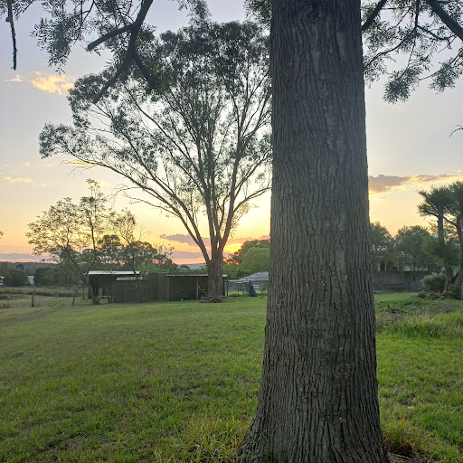Hunter Valley Farmstay and Transport Services - Thumbnail