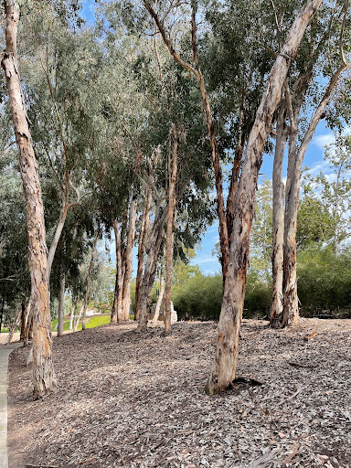Serrano Creek Park
