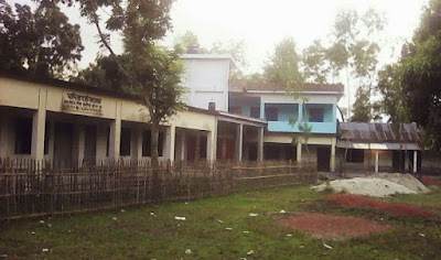 university