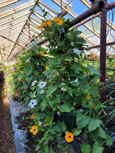 Vests Greenhouse - Thumbnail