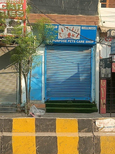 Gallery image 12