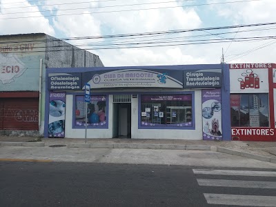 veterinary-care