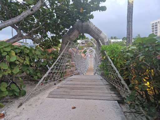 Predator Lagoon - Visual