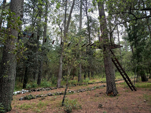 Ecoturistico San Felipe Pueblo Nuevo Park - Thumbnail