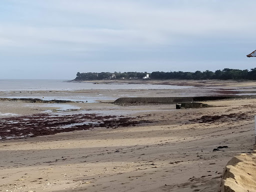 Noirmoutier-en-l'Île - Route du Vieil