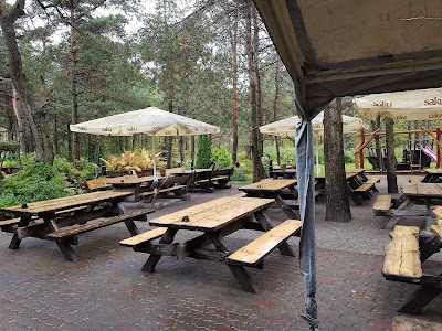 Photos of Pirosmani Restaurant