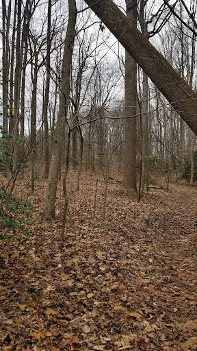 Foxhill Park Gallery - United States
