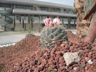 Photos of UAEM: Unidad Acad&eacute;mica Profesional Huehuetoca