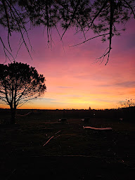 Photo n°12 de le chaUkao chez véro à Saint-Laurent-d'Aigouze (Restaurant)