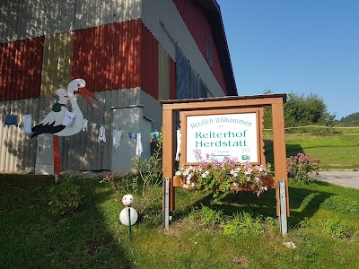 Photos of Baby- Reiterhof Herdstatt