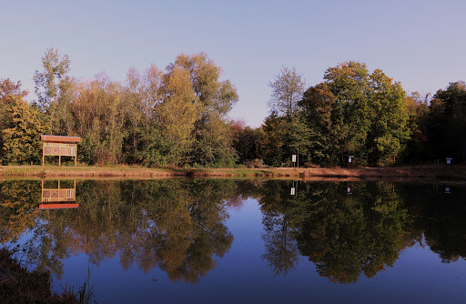 Steinfurther Teiche - Thumbnail