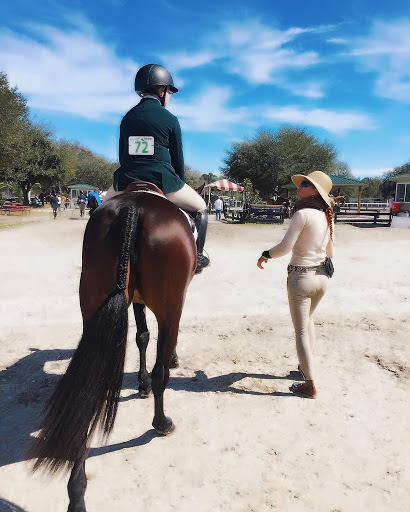 Premier Show Stable - Visual