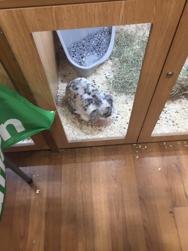 Pets at Home Inverurie - Thumbnail