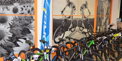 Photos of Ciclos Mudejar SL