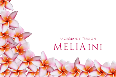 MELIA INI