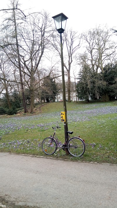 Photos of Parc Municipal