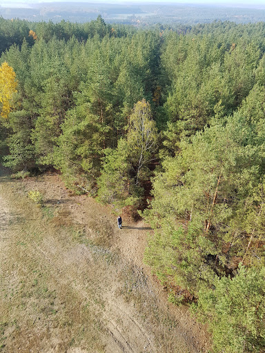 Aussichtsturm auf dem Löwendorfer Berg - Thumbnail