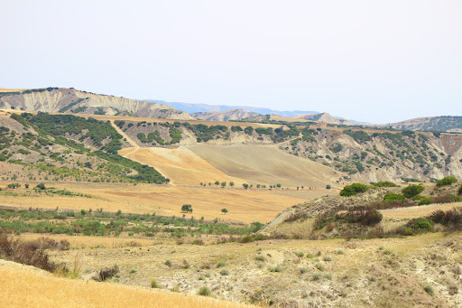 Strada provinciale - Visual