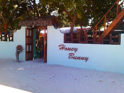 Photos of Honey Bunny