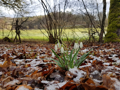 Waldlehrpfad Ehningen - Thumbnail